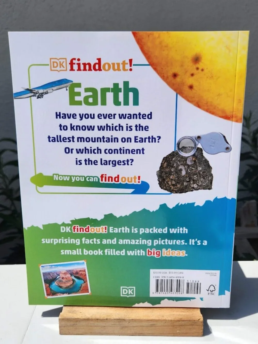 NEW DK Findout! Earth Life Sciences Book Science Paperback BookShark Science C S